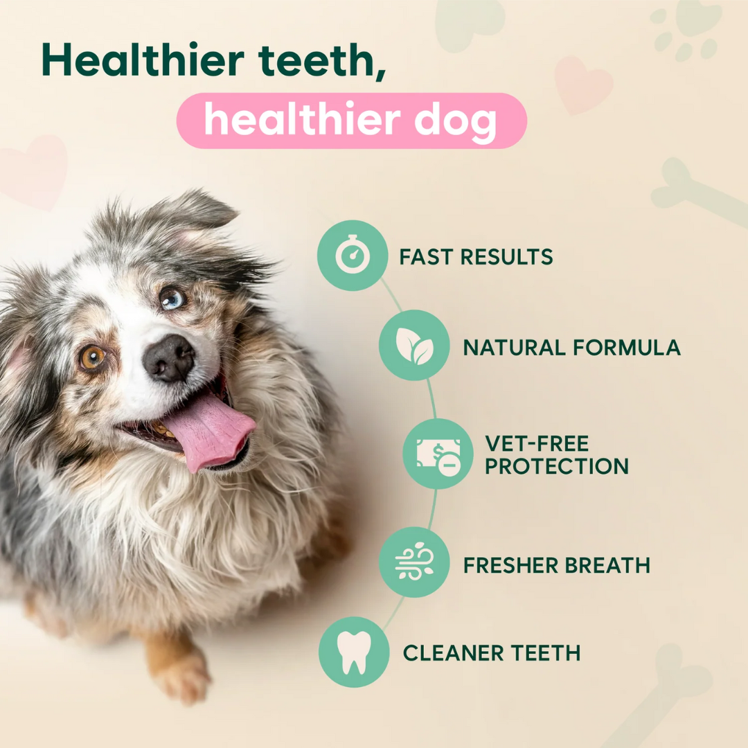 Nesalia™ Advanced Dental Spray