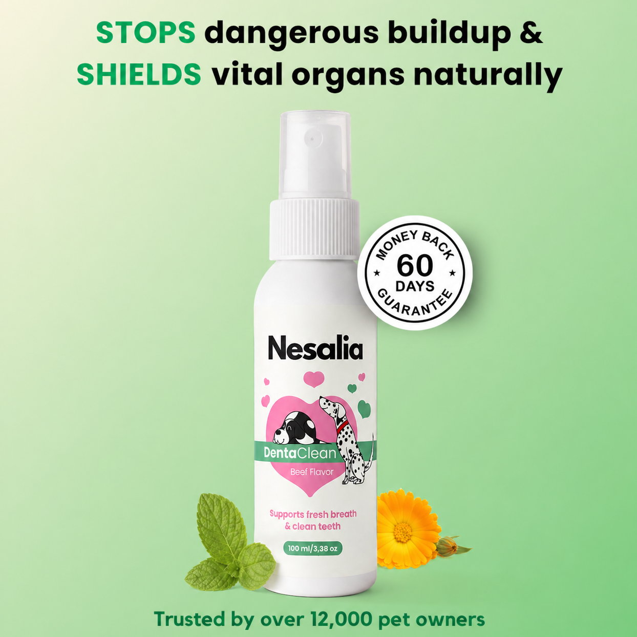 Nesalia™ Advanced Dental Spray