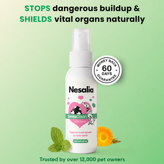 Nesalia™ Advanced Dental Spray